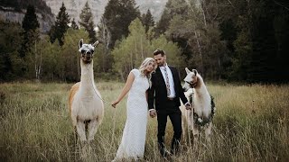 They Had Llamas At Their Elopement! | Romantic Boho Mountain Elopement | Utah Elopement