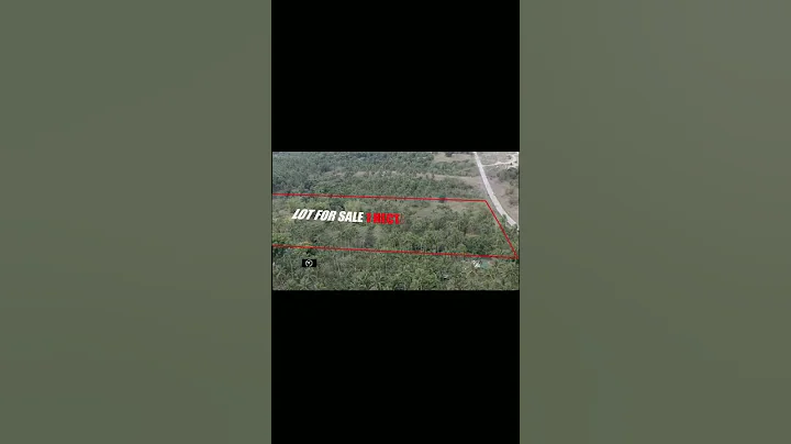 LOT FOR SALE 1 HECTARE MAGALLANES CAVITE