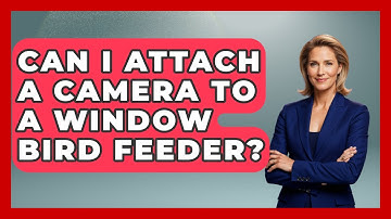 Can I Attach A Camera To A Window Bird Feeder? - Bird Watching Diaries