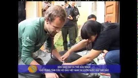 Cứu hộ hai cá thể gấu Xuân Liên - Animals Asia