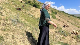 IRAN nomadic life | village life In Iran