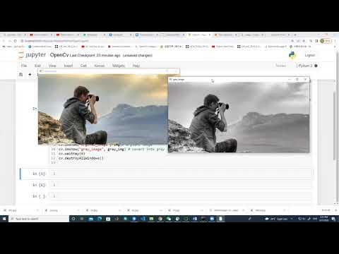 How to resize and convert image into grayscale using python # jupyter ...