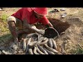 Unbelievable Fishing Dry Season - Find & Catching Many Fish Underground &  Secret old Clay pit