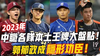 2023年中職各隊本土王牌大盤點！鄭浩均傷病纏身表現不佳，郭郁政成隱形功臣！#鄭浩均 #黃子鵬 #陳仕朋 #名人趣談