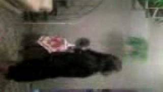 Camera Escondida - Lola Dançando