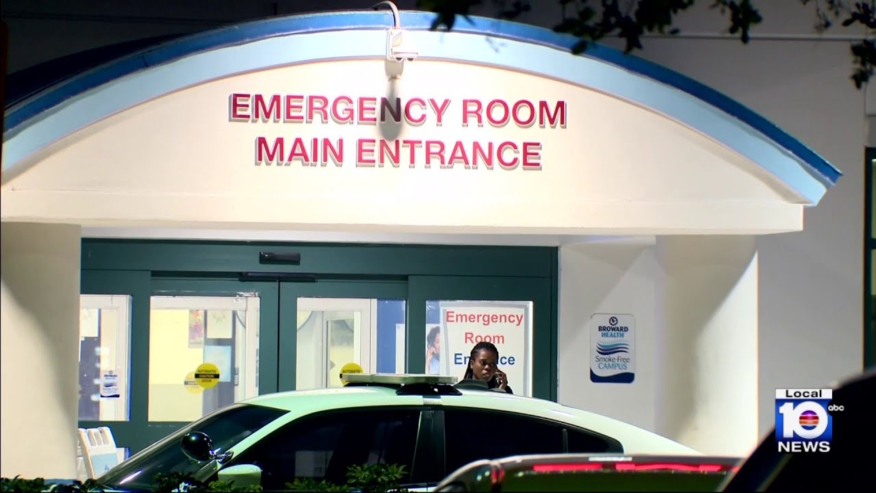 Woman taken to hospital after dog attack in Fort Lauderdale - YouTube