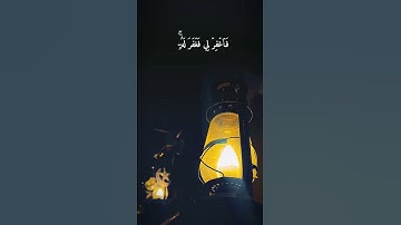 #اللهم_صل_وسلم_على_نبينا_محمد #تلاوة_خاشعة #اكسبلور #المصحف #منشاوی #عبدالباسط_عبدالصمد