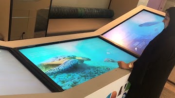 3-screen interactive flow book