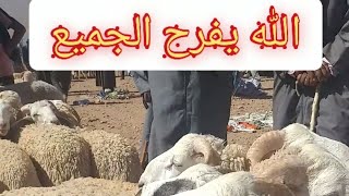 أسعار المواشي من العين الصفراء ولاية النعامة2021/6/21