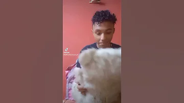 قله الادب بالنسبه لنا واحنا اطفال Shorts 