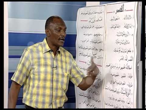 قنا طيبة الفضائية اللغة العربية اسلوب القصر ح5