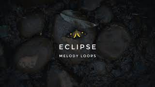 PRNZ gRIFFin - Eclipse Melody Loops Sample Pack