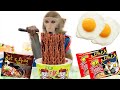 Baby monkey bim bim eats noodles and eggs and plays with puppies