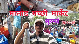 Malad Fish Market Surmai Special. Mumbai Malad Fish Market 2024 Latest Video.