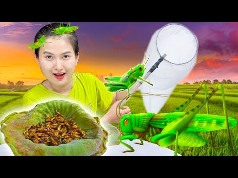 Video: Bạn có thể phun cho châu chấu?