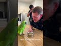 parrot police officer#shortvideo#youtub#foryou