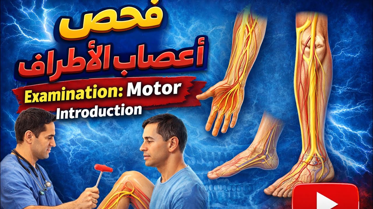 فسلجة عملي motor examination introduction 