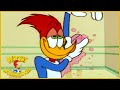 Woody Woodpecker | Bad Weather | Woody Woodpecker Full Episode | Kids Cartoon | Videos for Kids