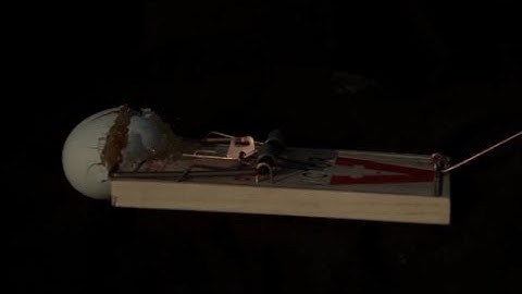 Eggs Vs Rat Trap in Slow Motion - Easter Week | Slow Mo Lab