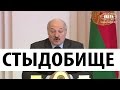 Лукашенко в шоке от Беларуси! Что происходит в стране? НИН #7