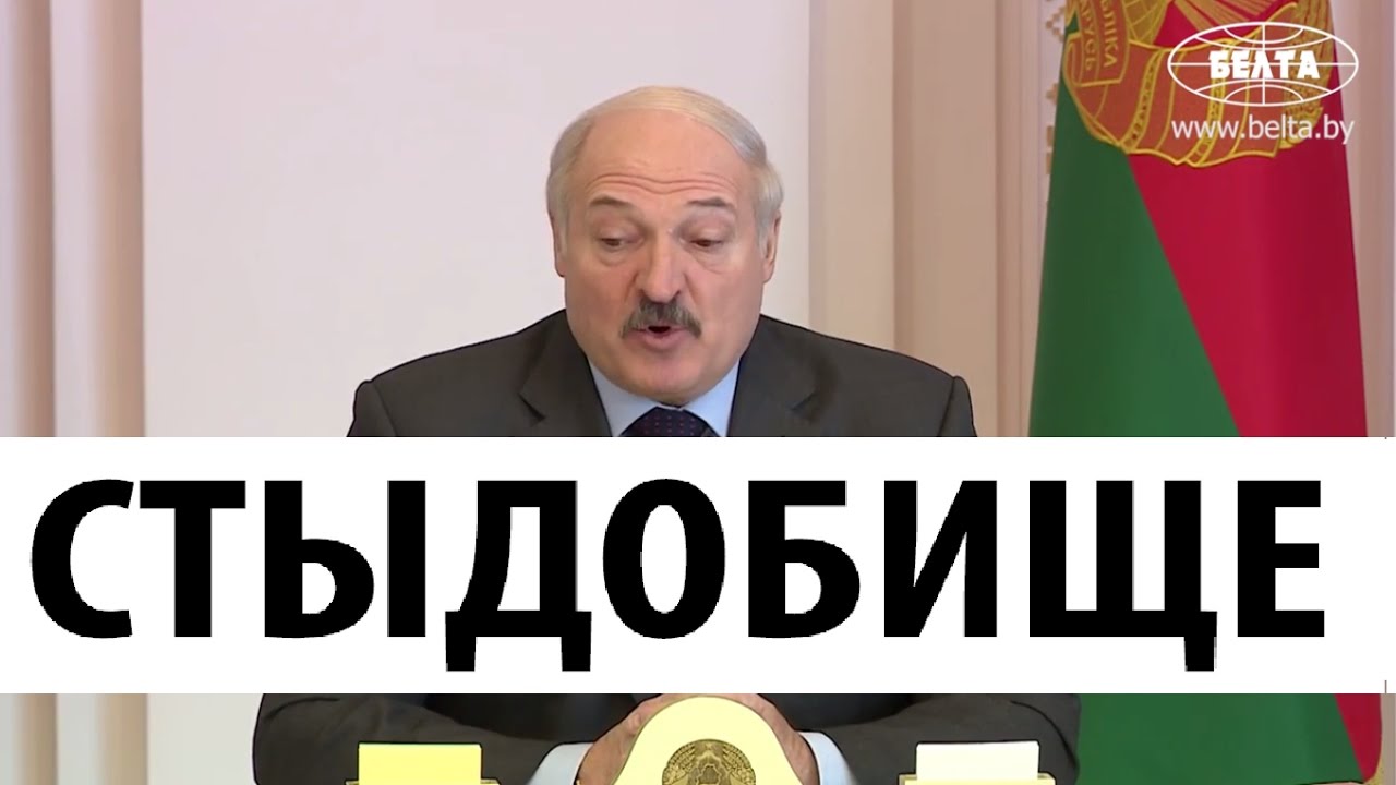 батька одобряет фото
