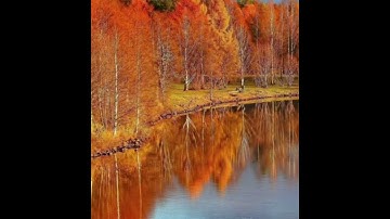 سورة الحجروت سورة (٤٩) آية (١٨) Hajrut surasi, sura (49), oyat (18)