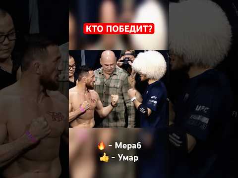 UFC 311 Мераб
