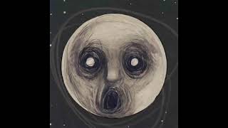 Steven Wilson The Raven That Refused To Sing