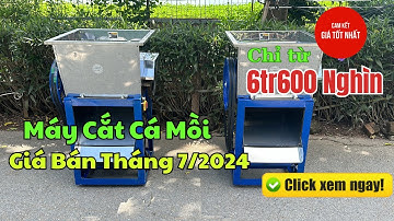 Máy Thái Cá, Cắt Cá Mồi Rô Phi Có Giá Bán Bao Nhiêu