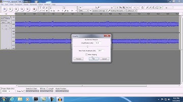 Sony Vegas Pro 10 - Linking to a external audio editing program.