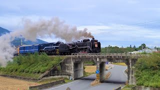Summer Formosa 2021!! TRA DT668 Steam Train Compilation