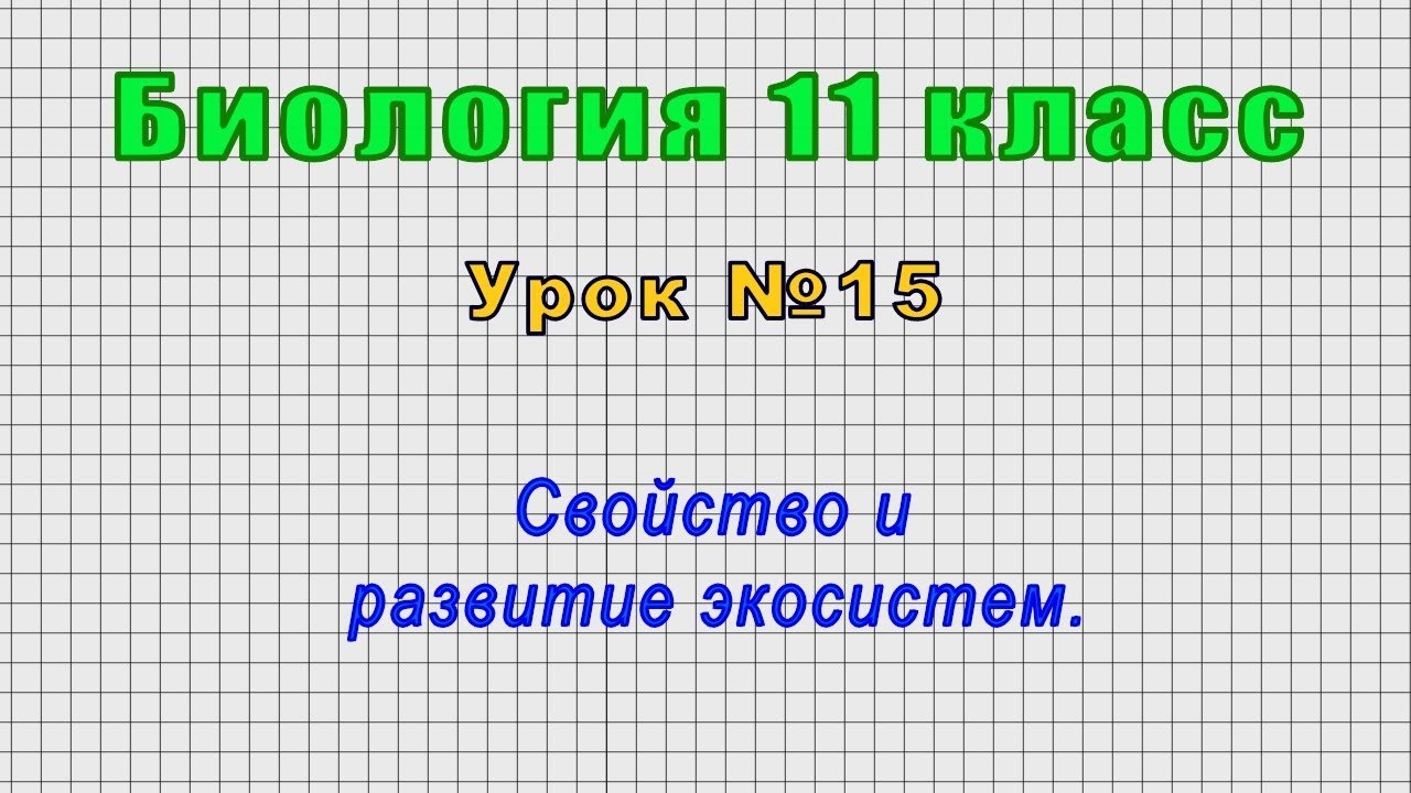 Лекция по теме Биоценоз и экосистема