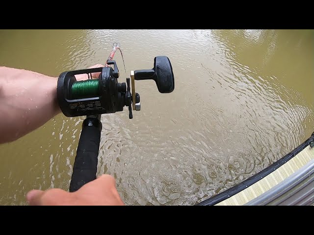 The Rain FIRED UP The Catfish In This Creek! 