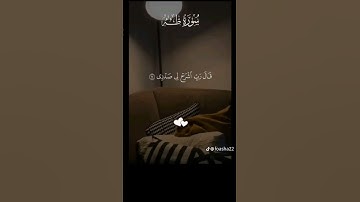 قران كريم #قرآن #الرحمن #اكسبلور #لايك #تيك_توك #المصحف