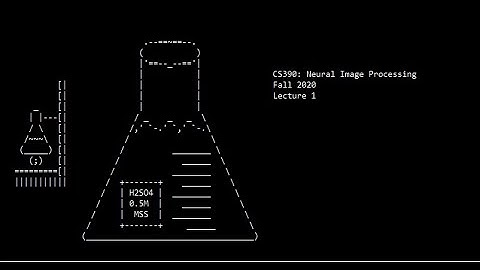 Neural Image Processing: Lecture 1 (Fall 2020)