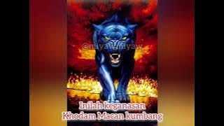 story wa ganasnya macan kumbang