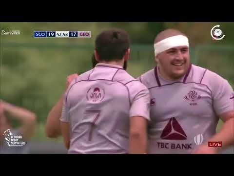 უმცროს ბორჯღალოსანთა წარმატება