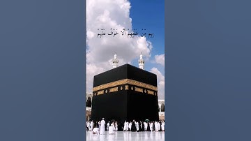 سورة آل عمران من 169-172 القارئ: ياسر الدوسري