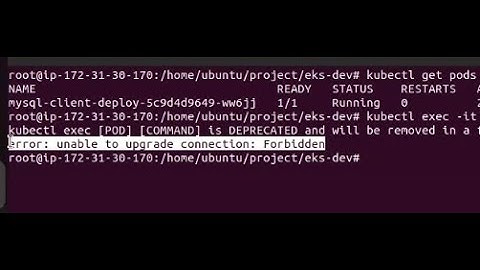 How to fix kubectl exec: error unable to upgrade connection,forbidden (connect with kubectl proxy)