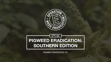 Palmer Amaranth Control in the Southeast - Pigweed Eradication 101