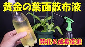 効果アリ アミノ酸液肥 作り方大公開 Youtube