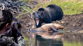 A breathtaking confrontation between the bear and the hunter part 2