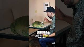 Katak Viral Jadi Idola