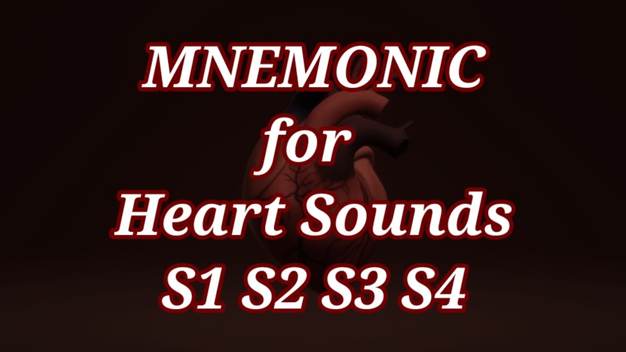 Mnemonic for heart sounds heart sounds s1s2 s3 s4 heart sounds