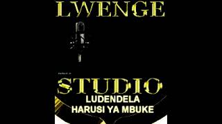 LUDENDELA HARUSI YA MBUKE BY LWENGE STUDIO