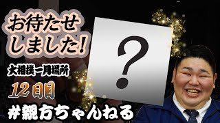 大変お待たせいたしました！親方ちゃんねる取組解説＜令和4年一月場所・12日目＞SUMO