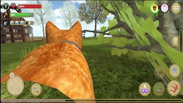 CAT SIMULATOR 2020 Walkthrough Gameplay Part 2