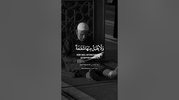 فيديو قصيره بصوت سعد الغامدي اجمل حالات واتس اب دينية سورة البقرة قرآن الكريم 🎧😌