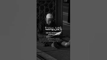 فيديو قصيره بصوت سعد الغامدي اجمل حالات واتس اب دينية سورة البقرة قرآن الكريم 🎧😌