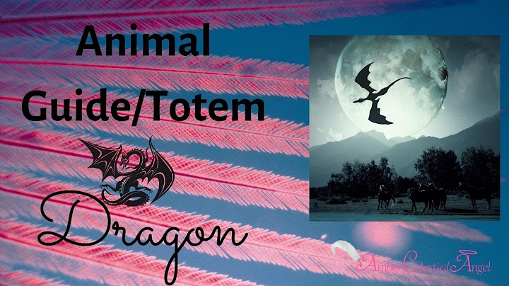 Dragon Animal Guide/Totem Meaning